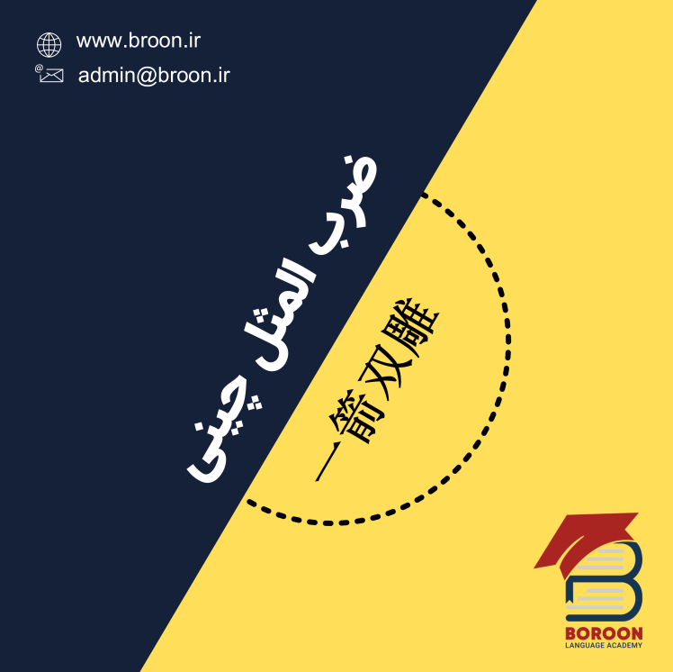 ضرب المثل چینی: یک تیر و دو نشان 